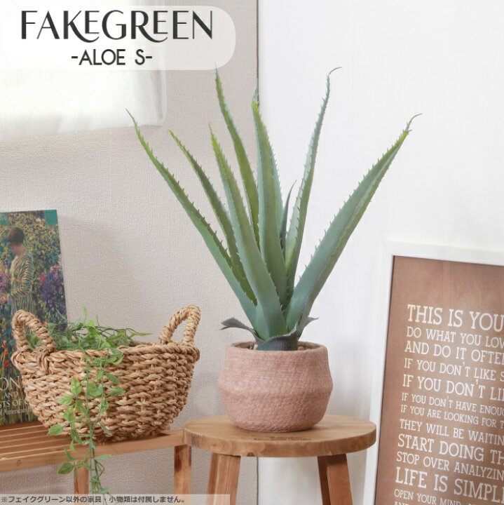 楽天市場】フェイクグリーン アロエ ポット付き 人工観葉植物 造花 