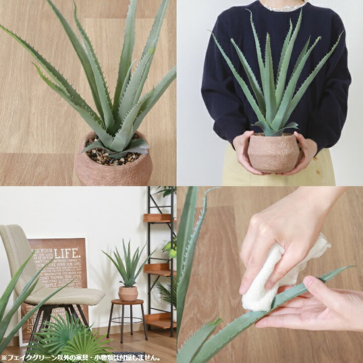 楽天市場】フェイクグリーン アロエ ポット付き 人工観葉植物 造花 