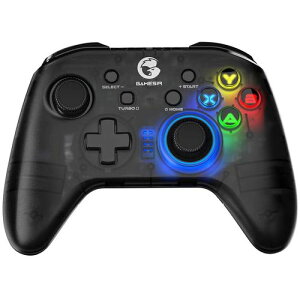 yVi/izGameSir T4 Pro