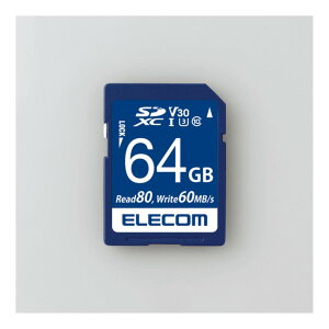 yVi/izMF-FS064GU13V3R [64GB]
