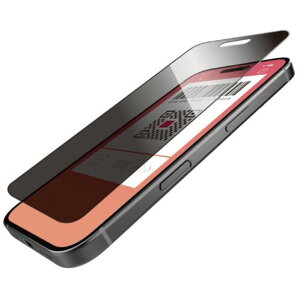 【新品/取寄品/代引不可】iPhone 16 Pro/ガラスフィルム/のぞき見防止/4way/上下左右 PM-A24CFLGGPF