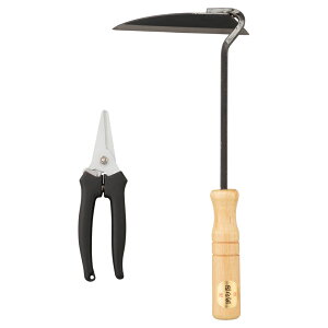 yVi/i/szyIi5zƒ؉Lbg2P@HF-25C@@