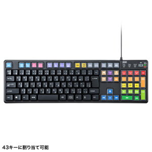 �y�V�i/���i/����s�z�v���O���}�u���L�[�{�[�h SKB-P1BK