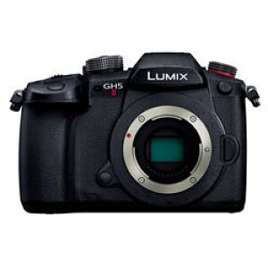 Panasonic LUMIX DC-GH5M2 �{�f�B �~���[���X���J���� �p�i�\�j�b�N