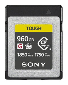 yVi/i/szCFexpress Type B [J[h 960GB CEB-G960T