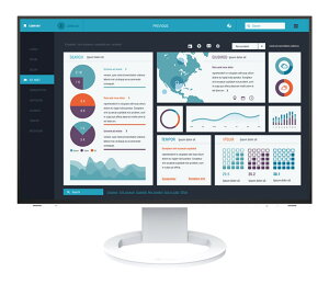 yVi/izFlexScan24.1C`J[tj^[(1920 x 1200/USB Type-C(DisplayPort Alt ModeAHDCP 1.3)ADisplayPort(HDCP 1.3)AHDMI(HDCP 1.4)/