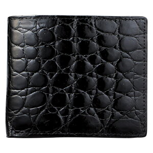 yVi/i/szyIizNR_C ܂z ubN MJ-09W BLACK
