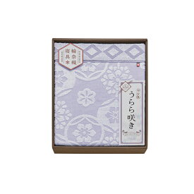 【新品/取寄品】【特選商品4】今治 うらら咲き タオルケット ITU66080