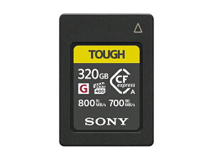 yVi/i/szCFexpress Type A [J[h 320GB CEA-G320T