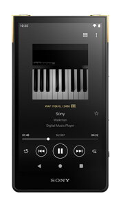 SONY EH[N} ZXV[Y 64GB NW-ZX707 ubN