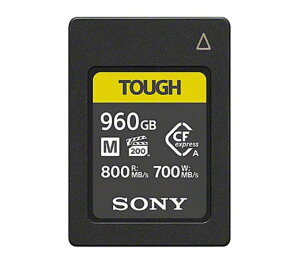 yVi/i/szCFexpress Type A [J[h 960GB CEA-M960T
