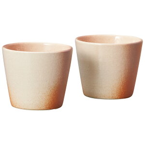 yVi/izyIizMy Scarlet F EH[^[JbvyA Sk-1p