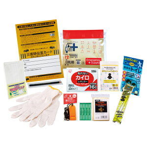 yVi/izyIi4zԍڗphЃ|[`11_Zbg CP-20