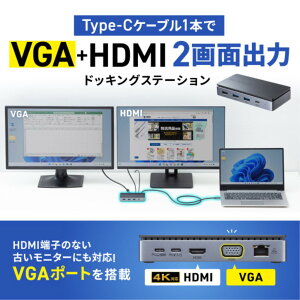 yVi/i/szUSB Type-ChbLOXe[V(HDMI/VGAE2ʏo͑Ή) USB-CVDK19