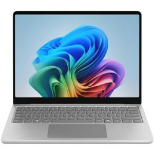Microsoft Surface Laptop 13 EP2-31880 �V�����������f�� 13�C���` Snapdragon X Plus ������ 16GB UFS 1TB Win11 Home Office H&B2024