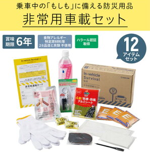 �y�V�i/���i/����s�z���p�ԍڃZ�b�g SYS-200