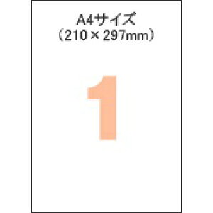 �y�V�i/���i/����s�zA4�^�b�N�S�� SB860