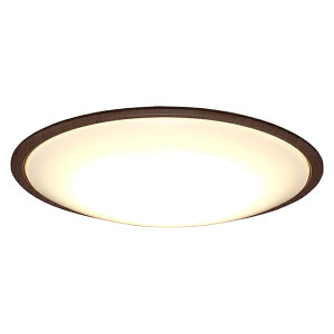 �y�V�i/���i/����s�zLED�V�[�����O���C�g 5.11 �������� �E�b�h�t���[��12�����F CL12DL-5.11WFV-M