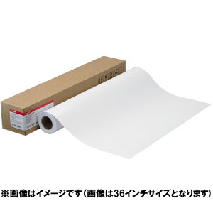 �y�V�i/���i/����s�z�t�H�g����HG(����)[4377B004] LFM-GPH/24/255