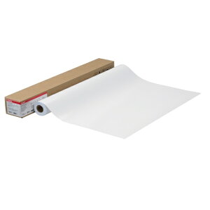 �y�V�i/���i/����s�z�t�H�g����HG(����)[4379B003] LFM-GPH/36/170