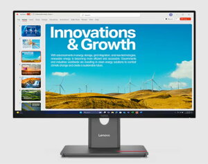 ThinkVision P24QD-40 64B1GAR1JP