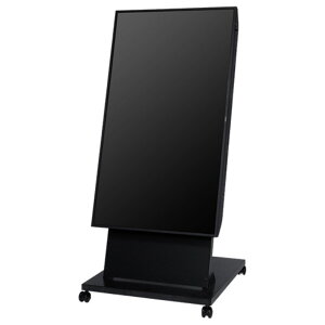 【新品/取寄品/代引不可】49型美映エル LCD-E498-MP03