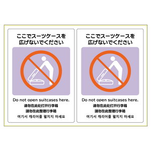 yVi/i/sz͂Is^OXebJ[ ŃX[cP[XLȂł A4 2 KLS100