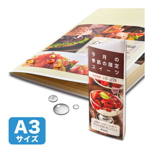 yVi/i/szJ[[U[p ϐE A3TCY LBP-WPF22MDPN-A3