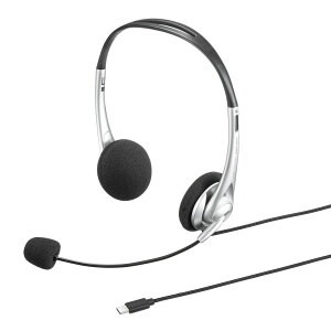 �y�V�i/���i/����s�zUSB TypeC�w�b�h�Z�b�g MM-HSTC03SV