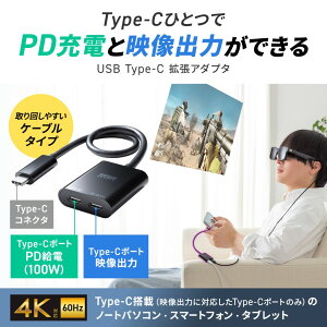 �y�V�i/���i/����s�zUSB Type-C �g���A�_�v�^ �f���o��/PD�[�d���� 4K/60Hz DP Alt Mode PD100W �P�[�u���^�C�v �X�}�[�g�O���X/���j�^�[ AD-ALCCPD02