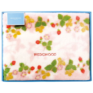 yVi/izyIizEFbWEbh ANj[}C[ѕziщHj sN FQ88100051P