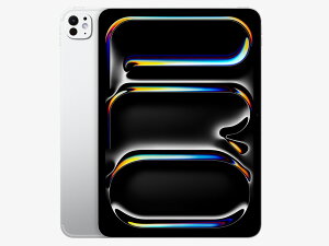 iPad Pro 11�C���` Wi-Fi+Cellular 256GB 2024�N�t���f�� MVW23J/A SIM�t���[ [�V���o�[]