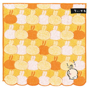 yVi/i/szyIiz  ^InJ` CG[  41-1060080Y