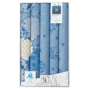 yVi/i/szyIiz zcJo[5g 505