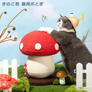 ̂^ Lp ܂Ƃ CeA LmR ̂ L lR ˂ Lbg ybg ybgpi Lpi LObY |[  킢 G  LJtF CX^f CeA fB