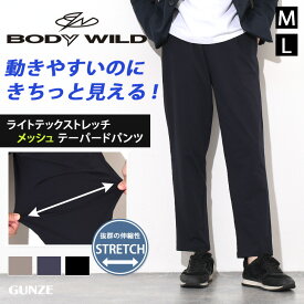 ボディワイルド BODY WILD ライトテック ストレッチ メッシュ テーパードパンツ メンズ ボトムス パンツ ズボン ロング 伸縮性 通気性 涼しい 軽量 軽い 伸びる 動きやすい スーツ ビジネス 仕事 メール便