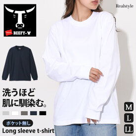 Hanes ヘインズ ヘビーウエイト ロングスリーブTシャツ BEEFY-T メンズ Tシャツ beefy ビーフィー 長袖 ロンT ロングTシャツ パックT トップス 厚手 クルーネック 丸首 インナー メール便