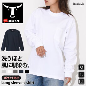 ヘインズ Hanes ビーフィー BEEFY ポケット ロングスリーブTシャツ メンズ トップス tシャツ 長袖 カットソー ロンT 綿100% 無地 春 ブランド ユニセックス ヘビーウェイト シンプル メール便