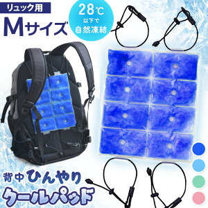 yܑΏہzwЂpbhI R bNpN[pbh pbg w xXg V[g ⊴ Ђ ₷ MǑ΍ ACVO p ₽ ⊴ObY K l o ʋ 