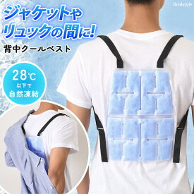 外でも家でも◎背負って効果的にひんやり！ 背中 冷却パッド プレート 冷やす 最強 冷感 2025 アイス クールベスト パット 冷たい 涼しい 暑さ対策 猛暑 熱中症対策グッズ 夏 大人 通勤 通学 ランドセル リュック 背面 屋外 農作業 長時間 メール便