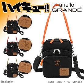 anello GRANDE アネログランデ ハイキュー!! コラボ 2way 撥水 ミニショルダーバッグ レディース メンズ 縦型 斜めがけ 大人 軽量 肩掛け 手持ち 烏野高校 音駒高校 梟谷学園高校 メール便