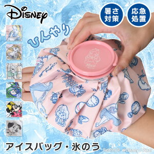 fBYj[LN^[ACXobO XX X̂ Ђ傤̂ ACVO X|[c St 싅 oXP M pObY MǑ΍ }u ΍ Disney ACXpbN X  