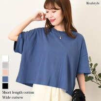 楽天市場】ショート丈 tシャツ（サイズ（S/M/L）S）（Tシャツ