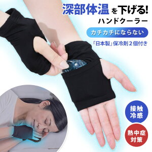 深部体温を下げる!両手用ジェル保冷剤付き接触冷感ハンドクーラー 保冷剤入れ AVA冷却 子供 レディース 大人 手のひら 冷やす グッズ ハンドカバー 2枚組 冷却 手袋 指なし ひんやり 冷たい