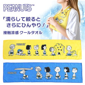 Xk[s[|[`tڐGN[^I p^I G炳Ȃ LN^[ snoopy ObY 킢 P[X q  20×80cm X|[c ^ LbY ėp Ђ  ΍ 