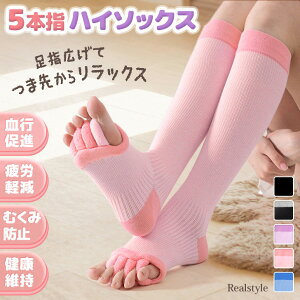 oCJ[5{wܐȂnC\bNX fB[X C 5{w\bNX ܖ{w ӂ͂ r \bNX O G [\bNX w L ObY ނ  si Jy