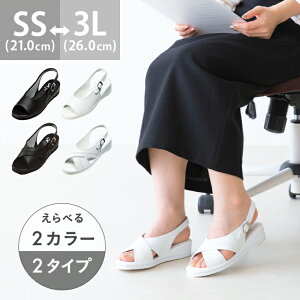  i[XT_ fB[X T_ Xbp i[XV[Y ItBXT_  C ×p Ōt  y ɂ ŋz