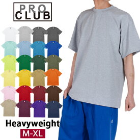 PRO CLUB プロクラブ Tシャツ 無地 HEAVY WEIGHT メンズ 大きいサイズ カラー 【ヘビーウェイト】#101 USA ブランド ファッション【ネコポス】