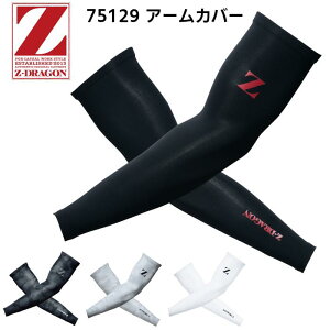 A[Jo[ Z-DRAGON d Jichodo Y fB[X [NEFA A_[EGA Xgb` ڐG⊴ z |GXe  z  H ^ q T[rX _  ы  