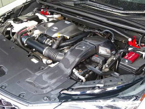 BLITZ CARBON INTAKE SYSTEM NTX NX AGZ10/AGZ15p (27024)yCe[Nzyԃp[czubc J[{Ce[NVXe